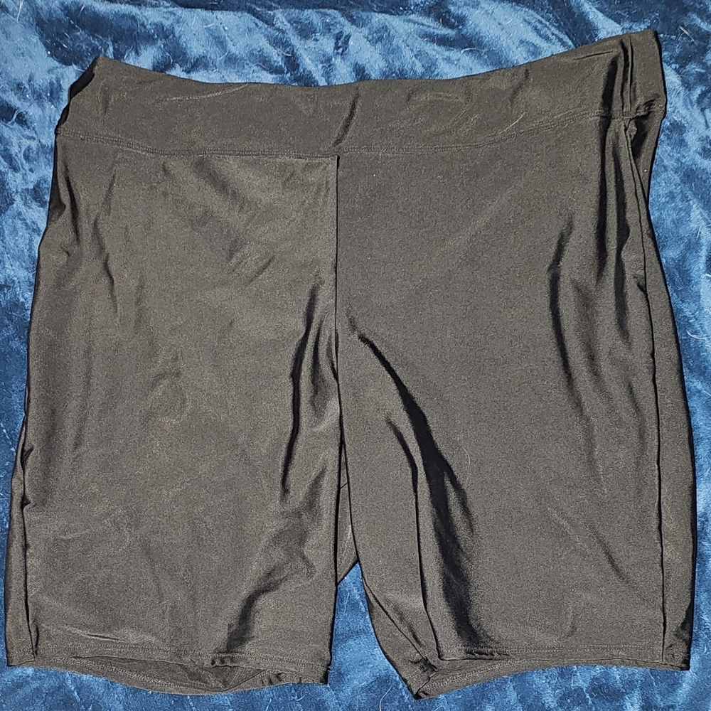 Torrid Swimshorts - Size 3